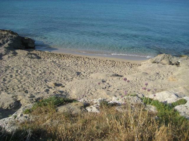 Attico A 150 Mt Dal Mare Villa Marina di Mancaversa Eksteriør bilde